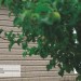 Сайдинг Ю-Пласт TIMBERBLOCK Пихта (Тимберблок) Cахалинская купить в Екатеринбурге